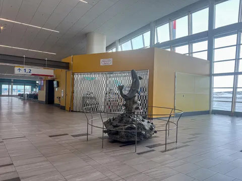 Fish Sculpture