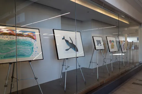 Photo of artwork display